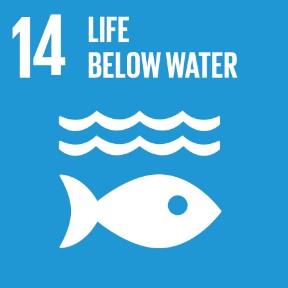 Life Below Water SDG Logo 14, fish 