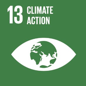 SDG logo 13, climate action