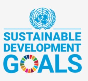 sustainable development goals logo 